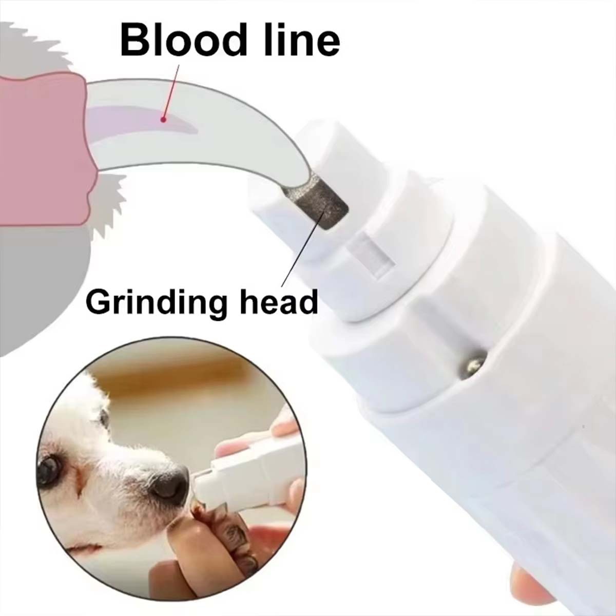 Electric Pet Nail Grinder Dogs - đánh giá và giá Model Kit Clipper